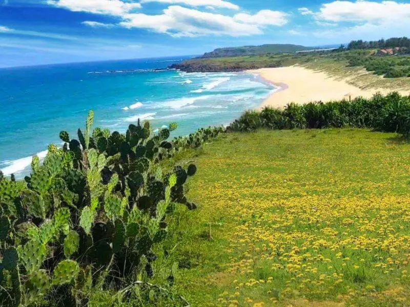 Tour Đảo Bình Ba - Đảo Tôm Hùm Nha Trang Trọn Ngày Giá Rẻ